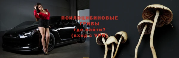 стафф Няндома