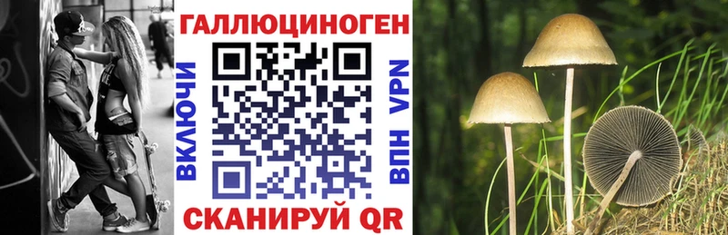 что такое наркотик  Краснодар  Псилоцибиновые грибы Psilocybine cubensis 