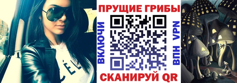 Псилоцибиновые грибы мухоморы Краснодар