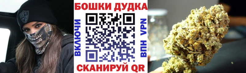 сколько стоит  мега ТОР  Канабис план  Краснодар 